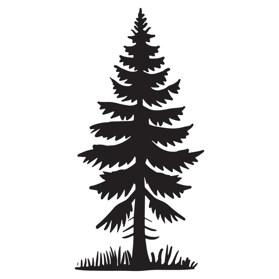 Pine Tree Silhouette Isolated on White Background vector