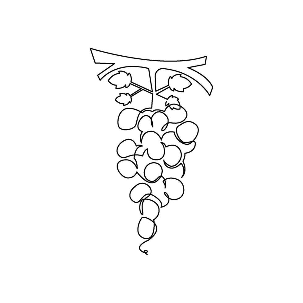 continuous mono line drawing of grape vector