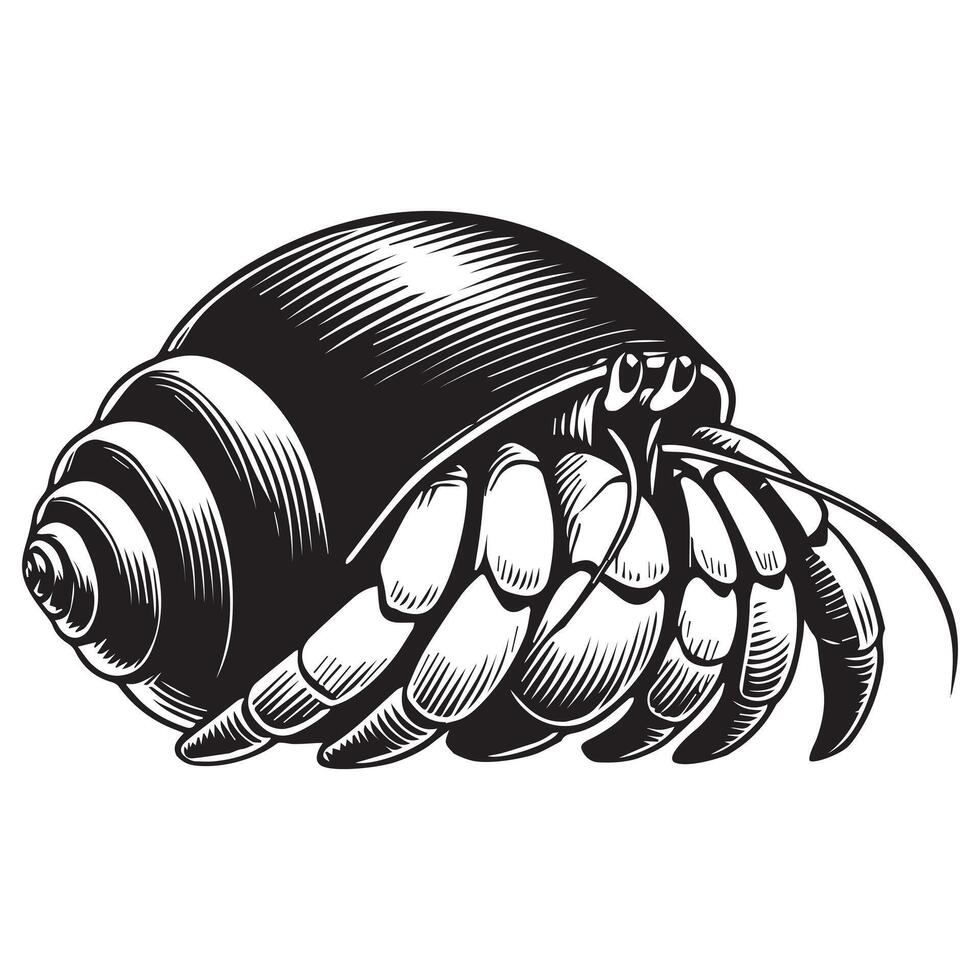 Hermit crab Clipart, Hermit crab silhouette, Paguroidea illustration in black and white vector