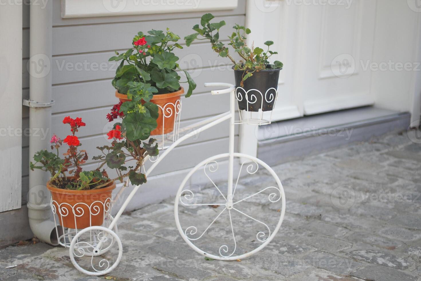 A charming display featuring a white bicycle planter filled with an array of vibrant flowers photo