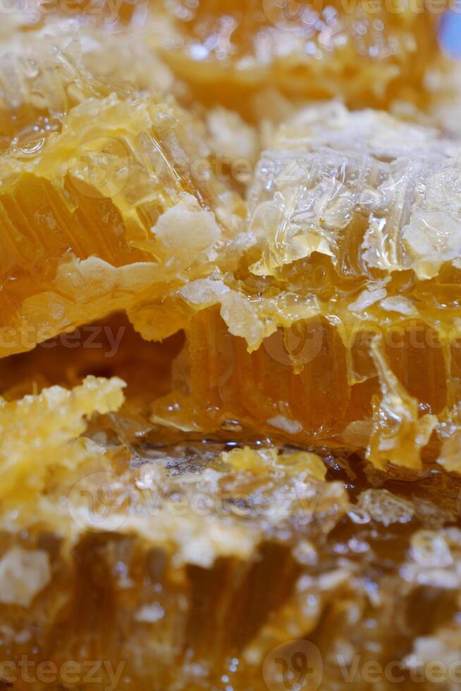 close up of fresh honey with comp in a jar photo