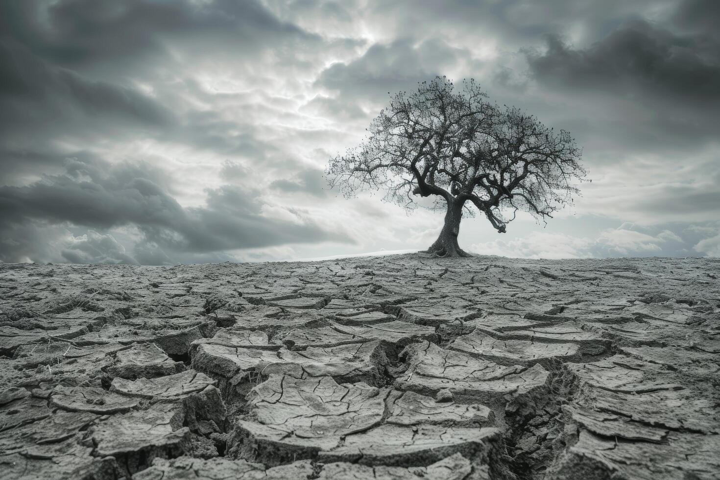 Resilience Amidst Environmental Destruction Lone Tree in Barren Landscape Under Overcast Sky photo