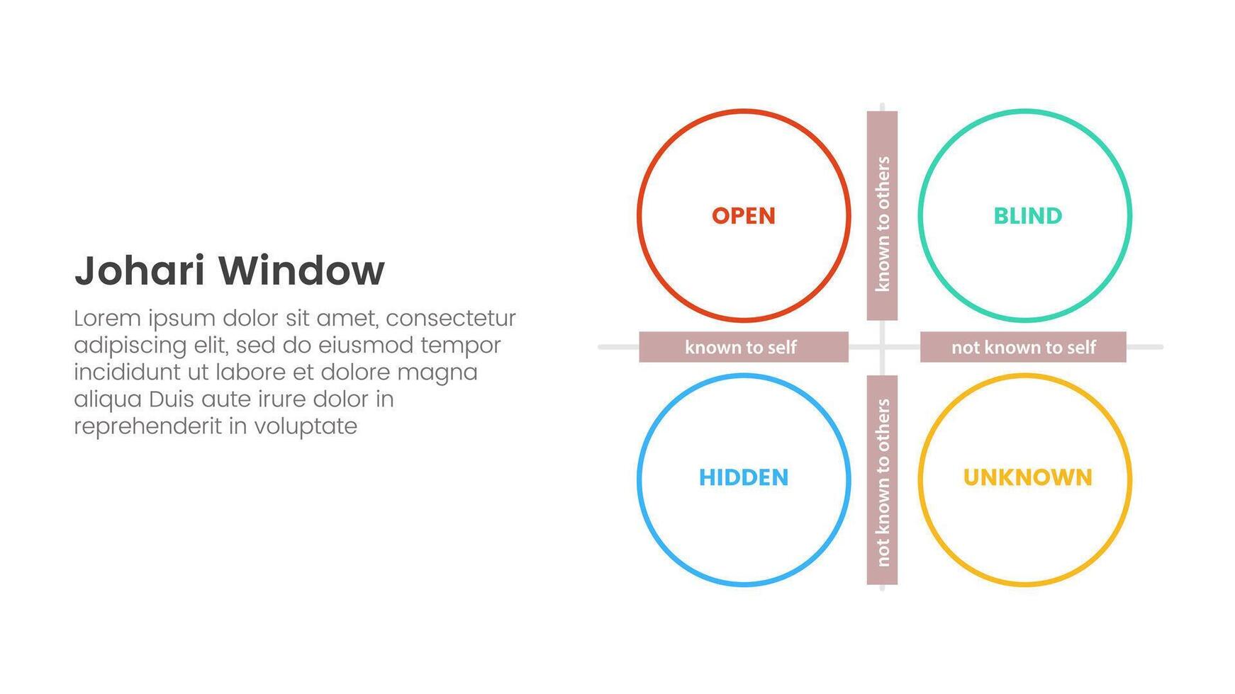 johari window model framework matrix structure infographic 4 point stage template with big outline circle for slide presentation vector