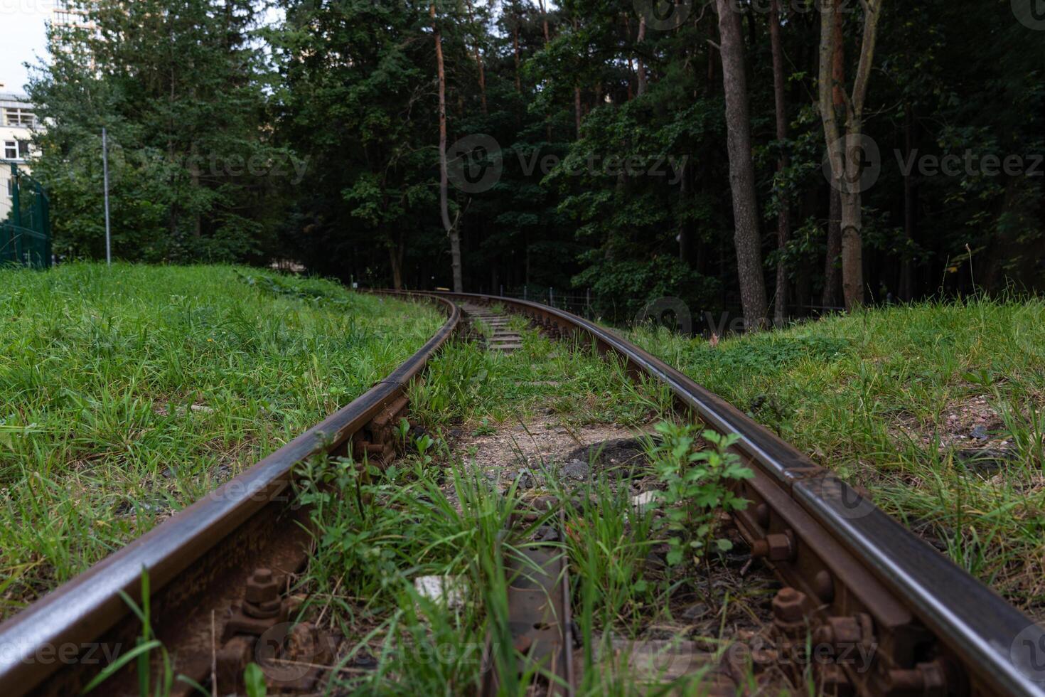A narrow-gauge children's railway to the city of Minsk. Rails near photo