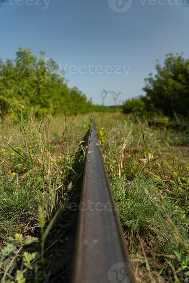 The railway rail is near, in the tall grass photo