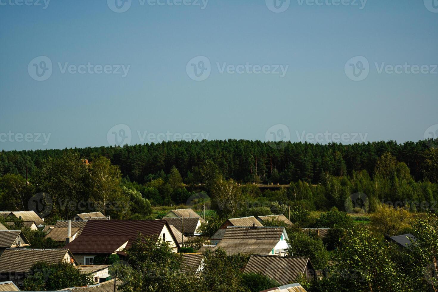 Top view of the village, beyond the village is a forest. Panoramic view photo