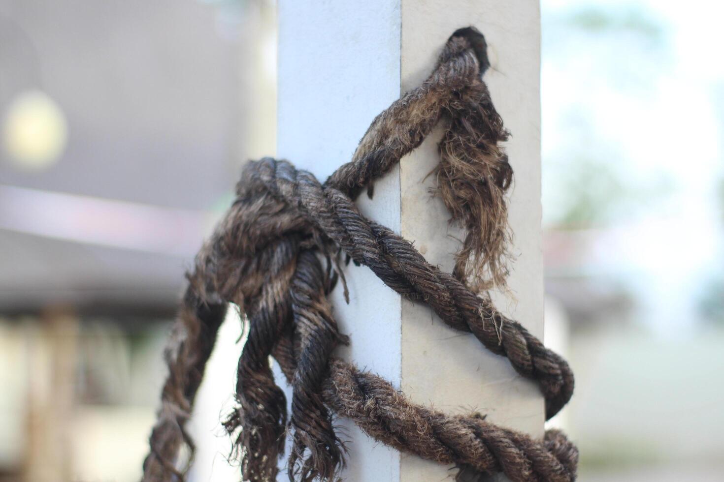 picture of ropes and iron poles photo