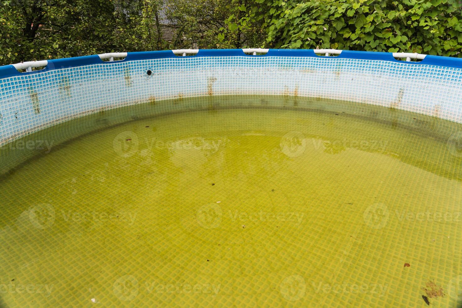 A green-framed swimming pool in the backyard of the site photo