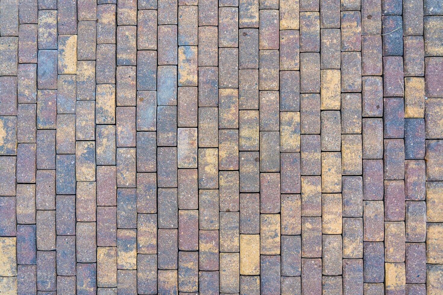 The background is paving slabs. Paving slabs in the park. photo