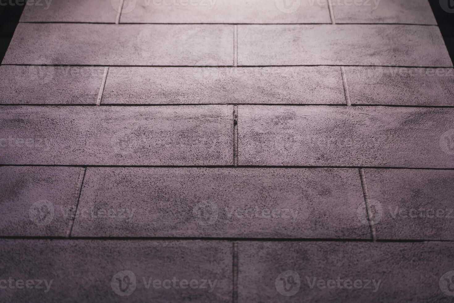 The stone wall background is highlighted from above. A stone wall photo