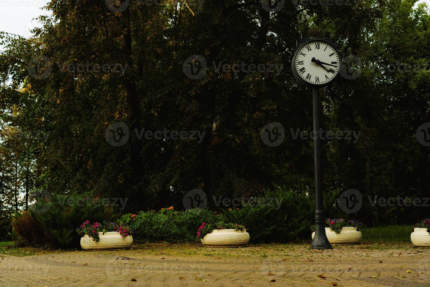 Street clocks in a forest park in Minsk. Evening in the park photo