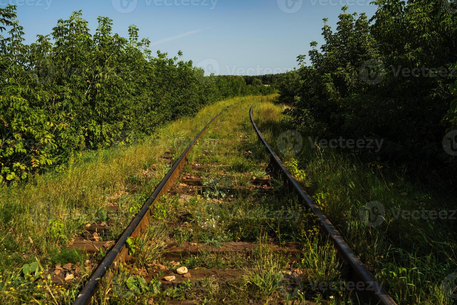 An Old abandoned rails. The railway rail is near, in the tall grass photo