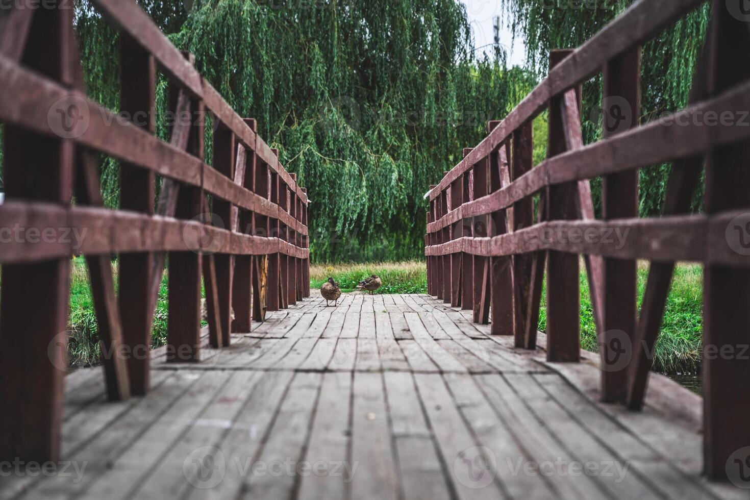 Wooden pedestrian bridge leading to the island. Ducks are sitting on the bridge photo