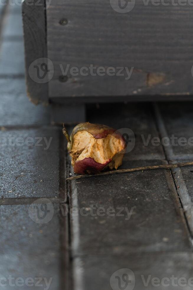 A half-eaten apple is lying on the sidewalk tile. Apple core photo