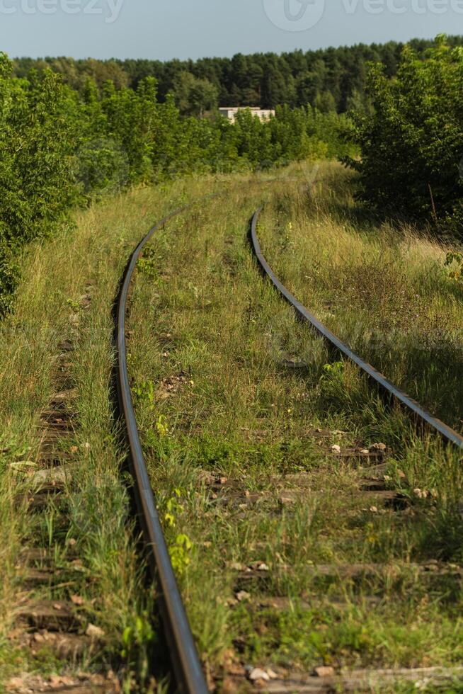 An Old abandoned rails. The railway rail is near, in the tall grass photo
