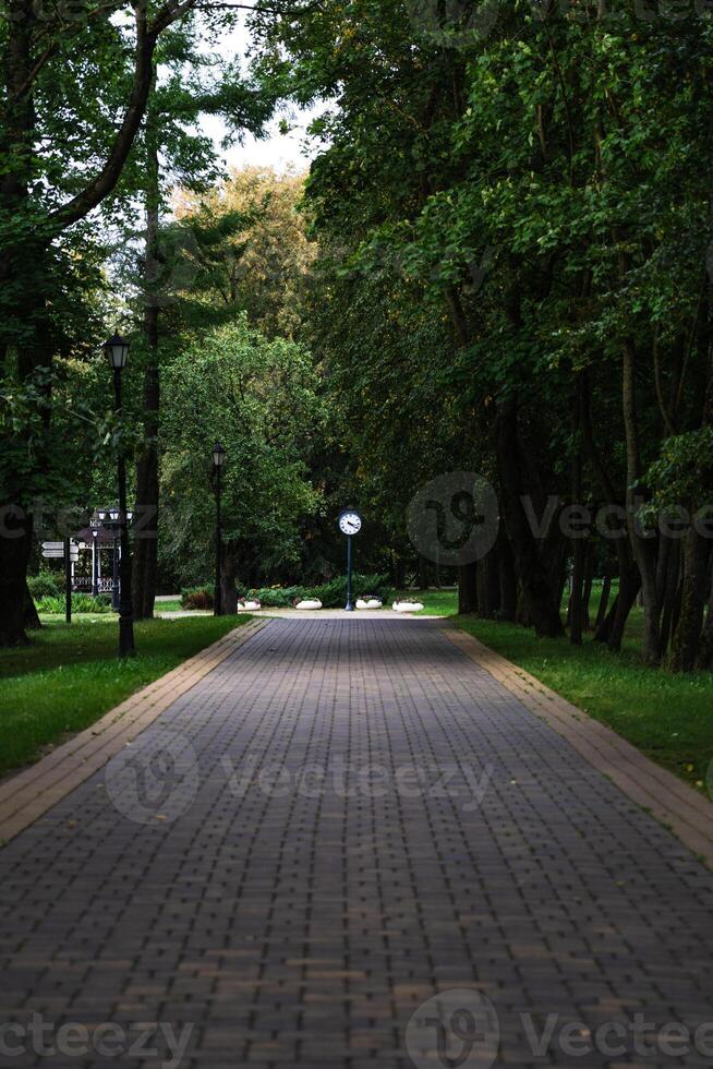 An empty, straight, sidewalk, pedestrian path in the forest park. Street clock photo