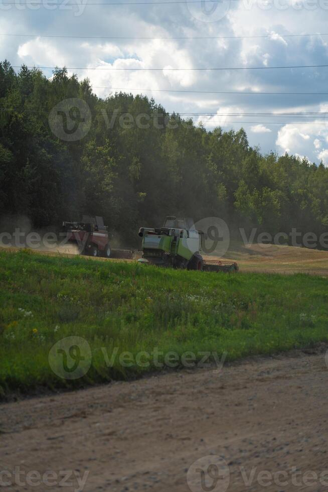 Two combines are working in the field, harvesting crops. Combines collect grain photo