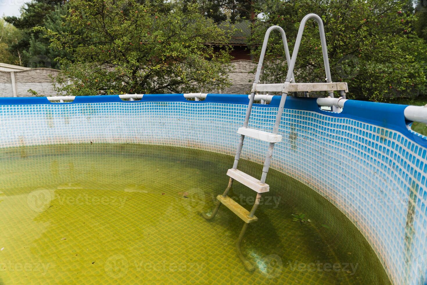 A green-framed swimming pool in the backyard of the site photo