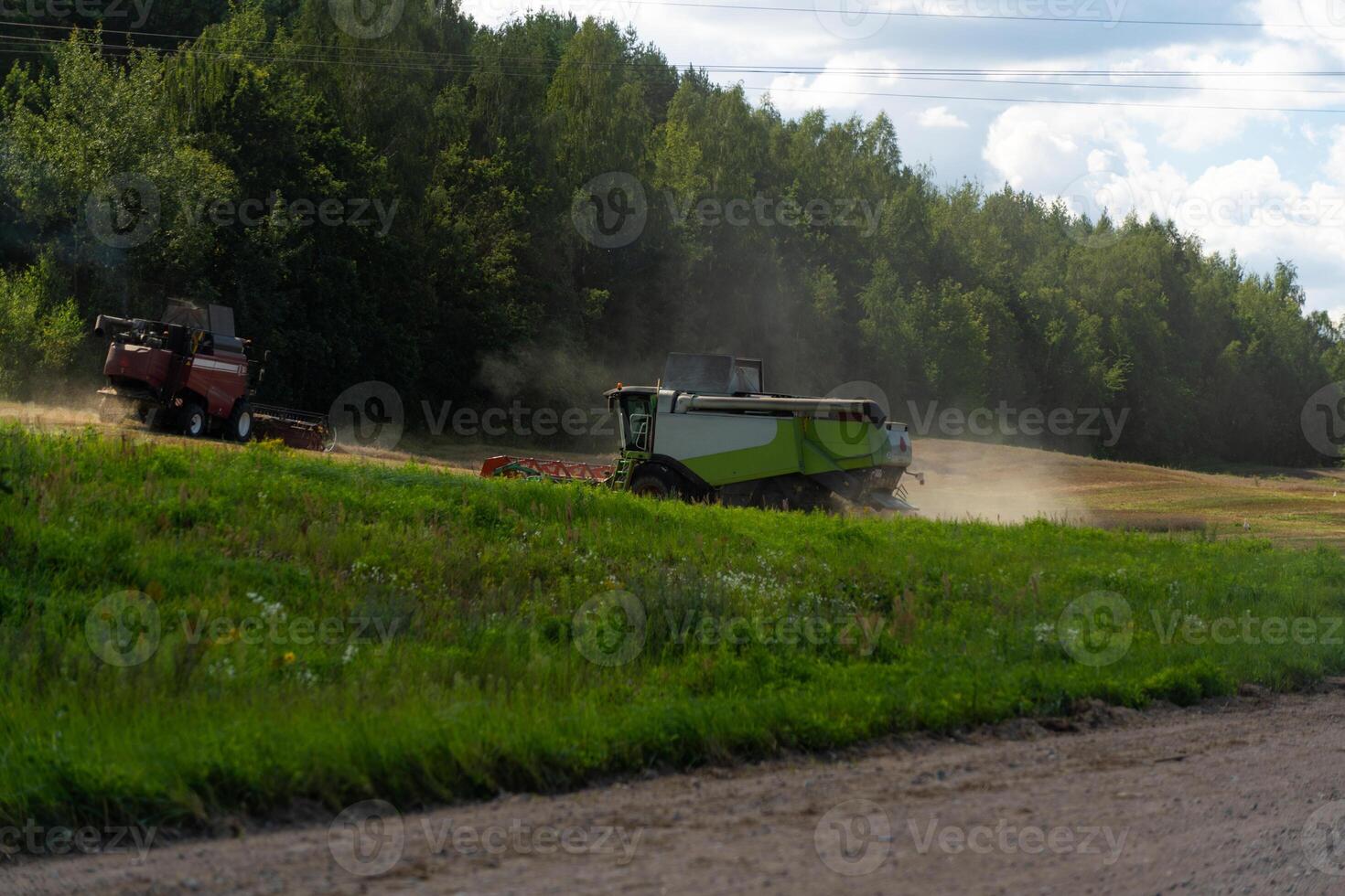 Two combines are working in the field, harvesting crops. Combines collect grain photo