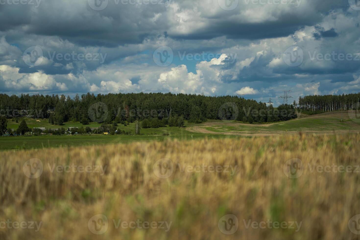 Thick clouds are flying low in the sky over green and yellow fields photo