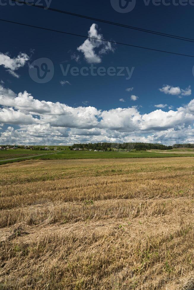 Thick clouds are flying low in the sky over green and yellow fields photo