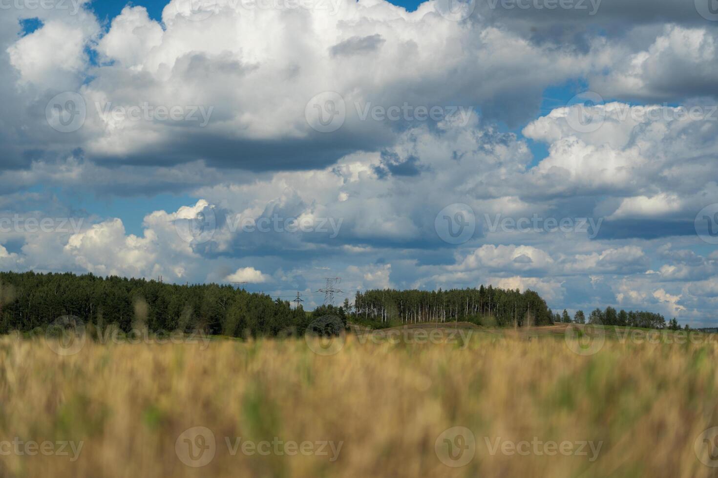 Thick clouds are flying low in the sky over green and yellow fields photo