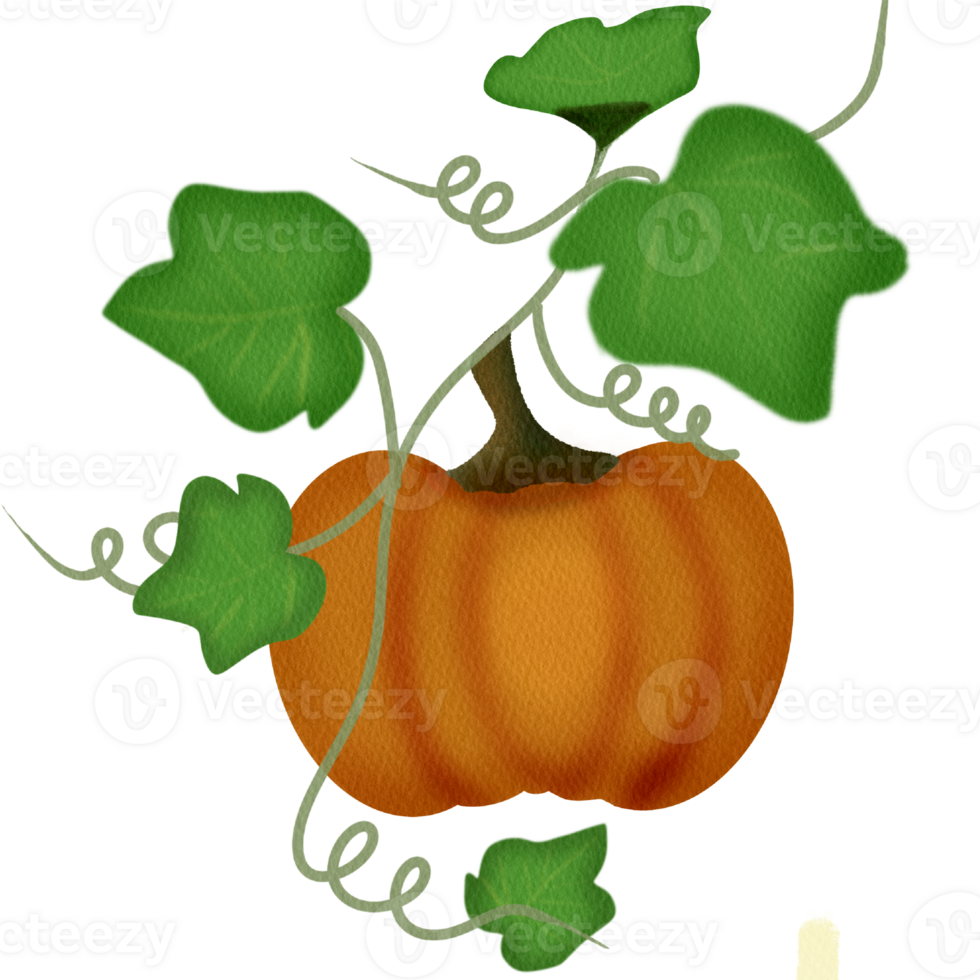 Pumpkin drawing texture paper png