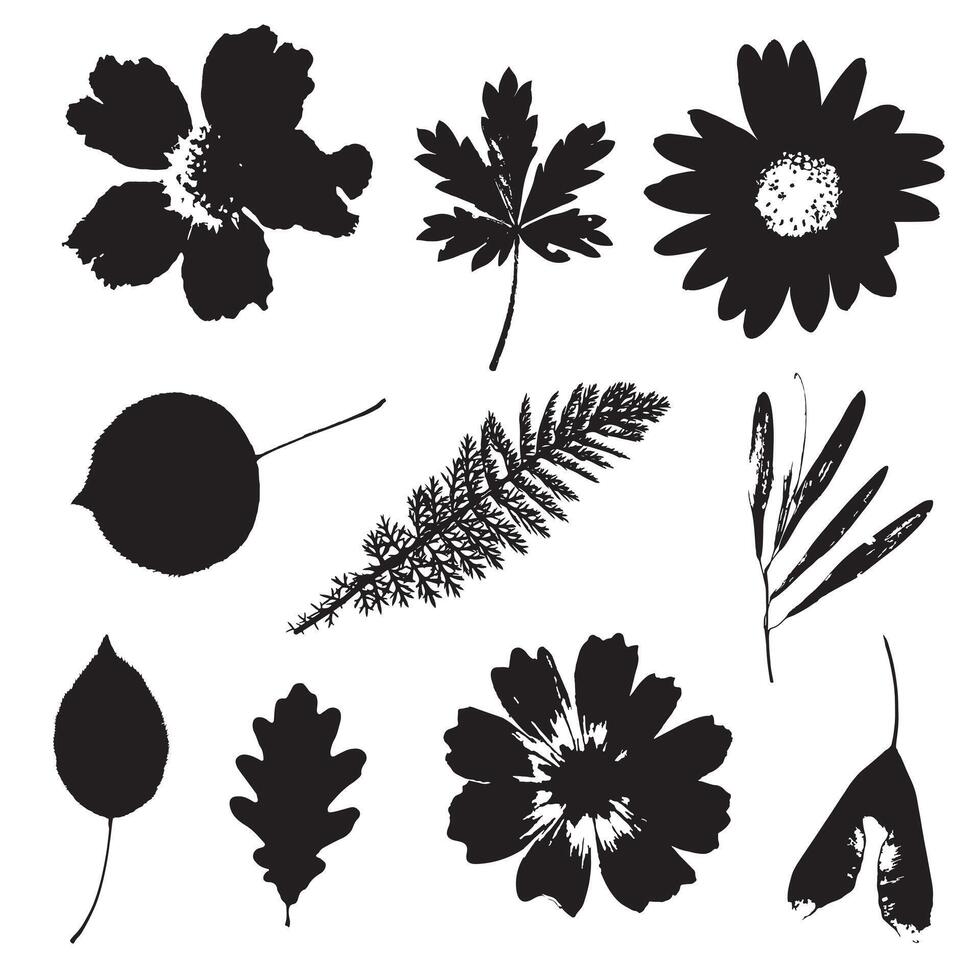 nature elements, autumn leaves set, leaves and flowers silhouette, fall cozy elements vector