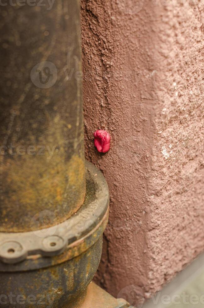 used pink gum stuck to light pink wall on street . High quality photo
