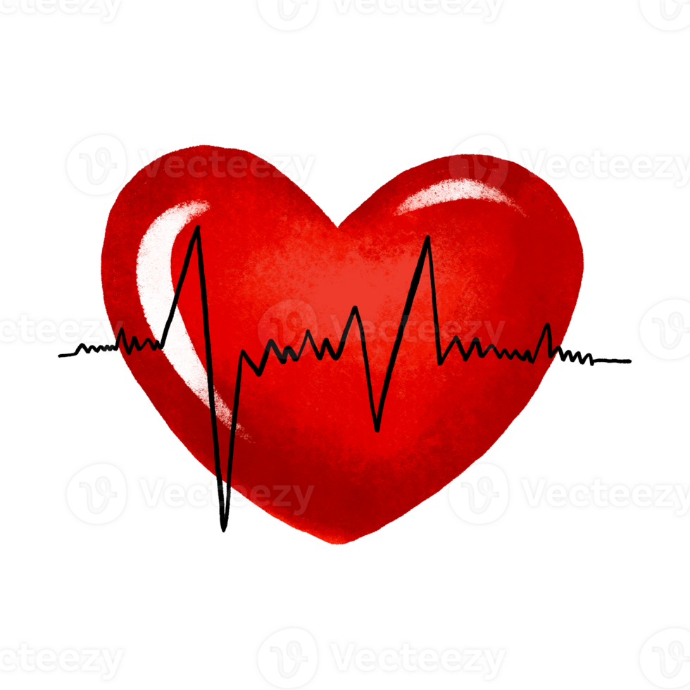 Heart and heart cardiogram. Heart health. Cartoon illustration on isolated background png