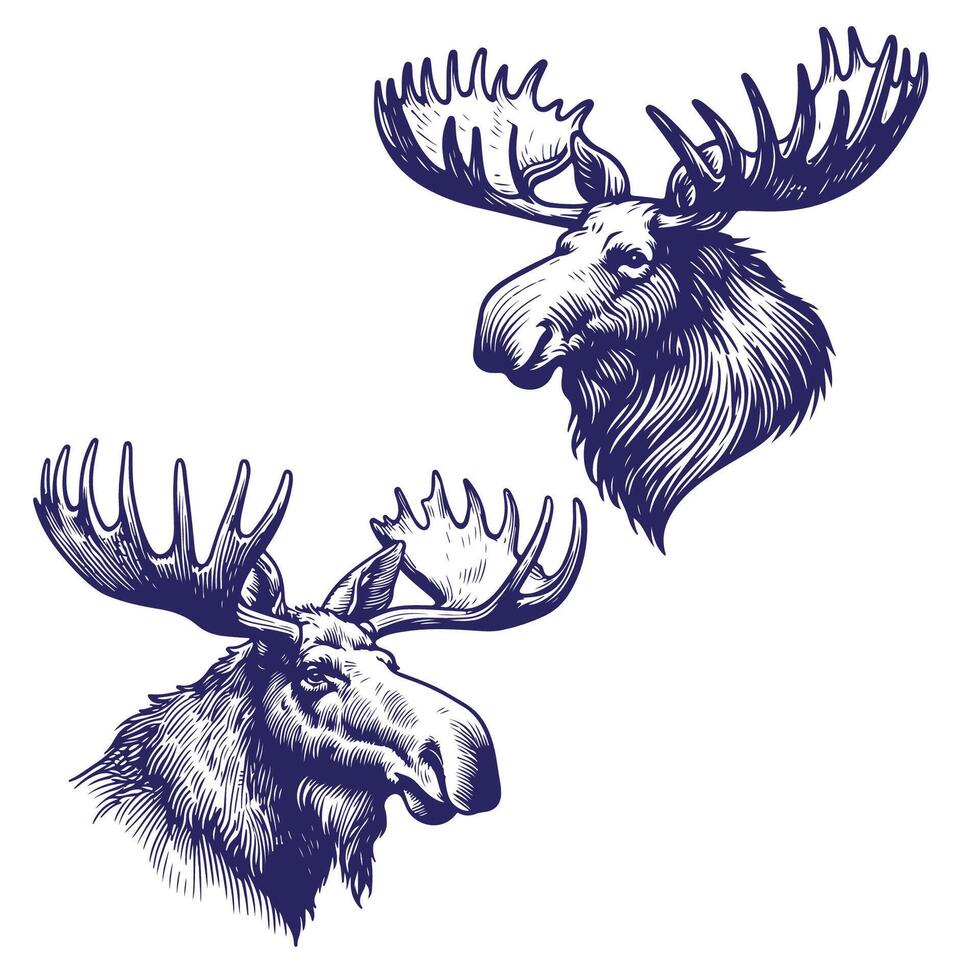 Moose Face Sketch Logo vector
