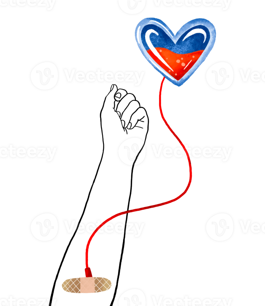 Human donor gives blood from a vein. Blood container in the shape of a heart. Blood Donation Day. Illustration on an isolated background png