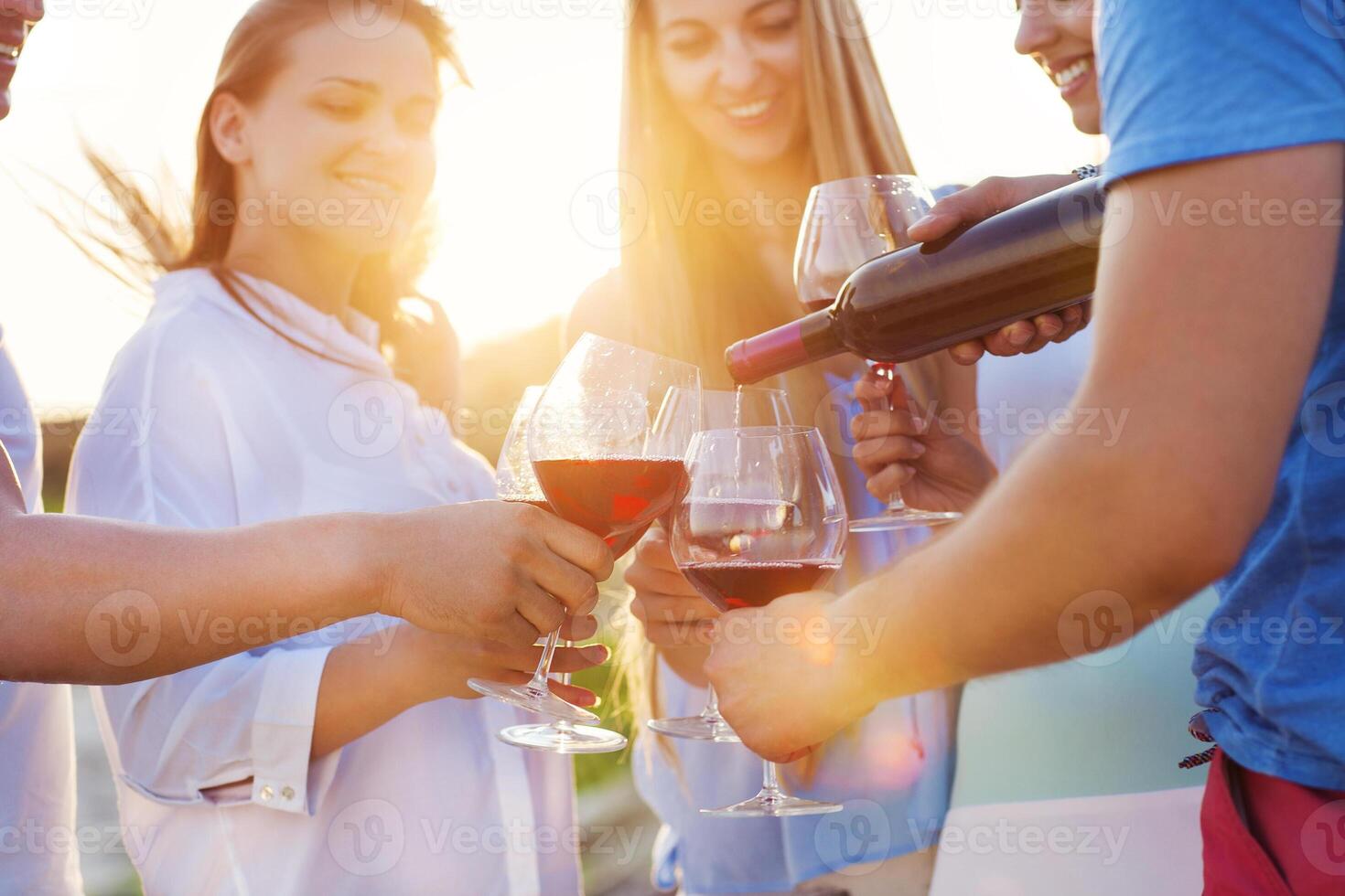 Group of happy friends having red wine on the beach photo