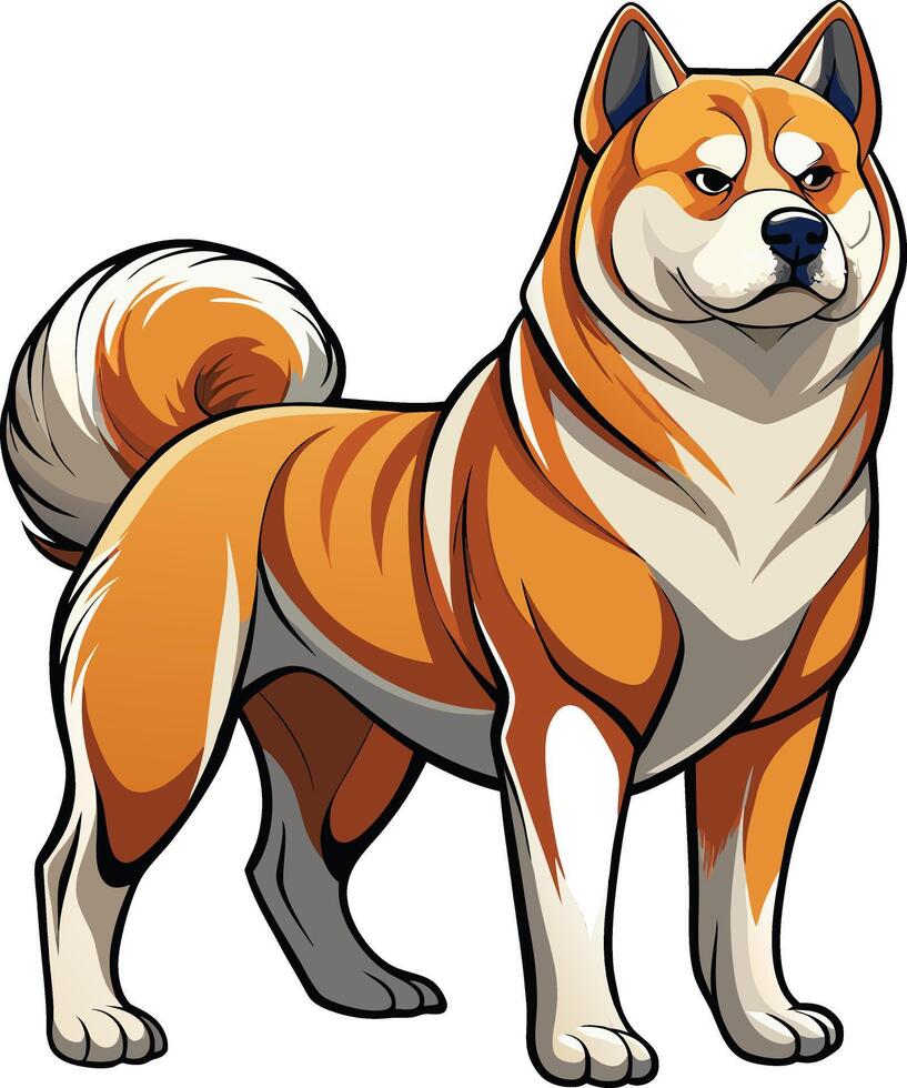 American Akita Dog Illustration vector