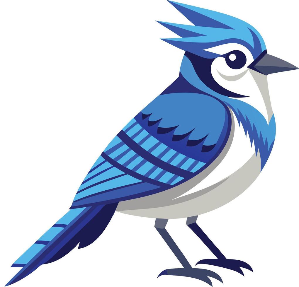 Elegant Blue Jay Bird vector