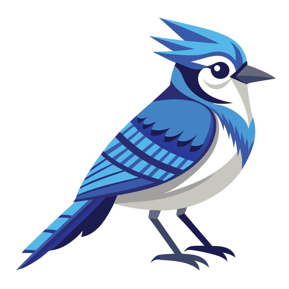 Blue Jay colorful art vector