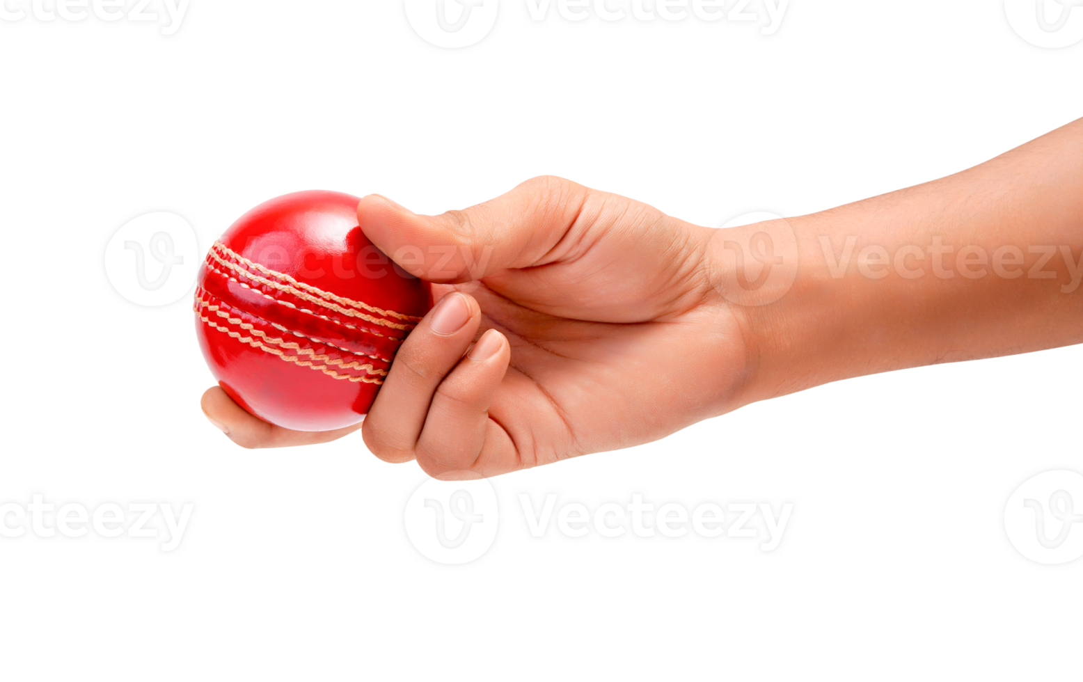 Closeup Photo Of A Male Bowler Strong Grip On A Gleaming Red Test Cricket Ball png
