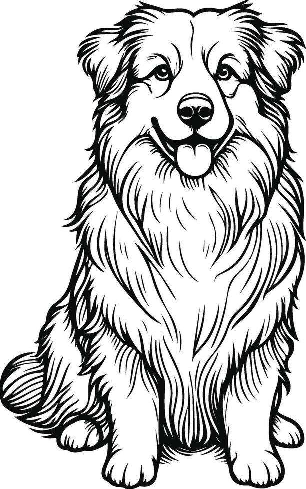 hand-drawn portrait of Australian Shepherd in engraving style vector