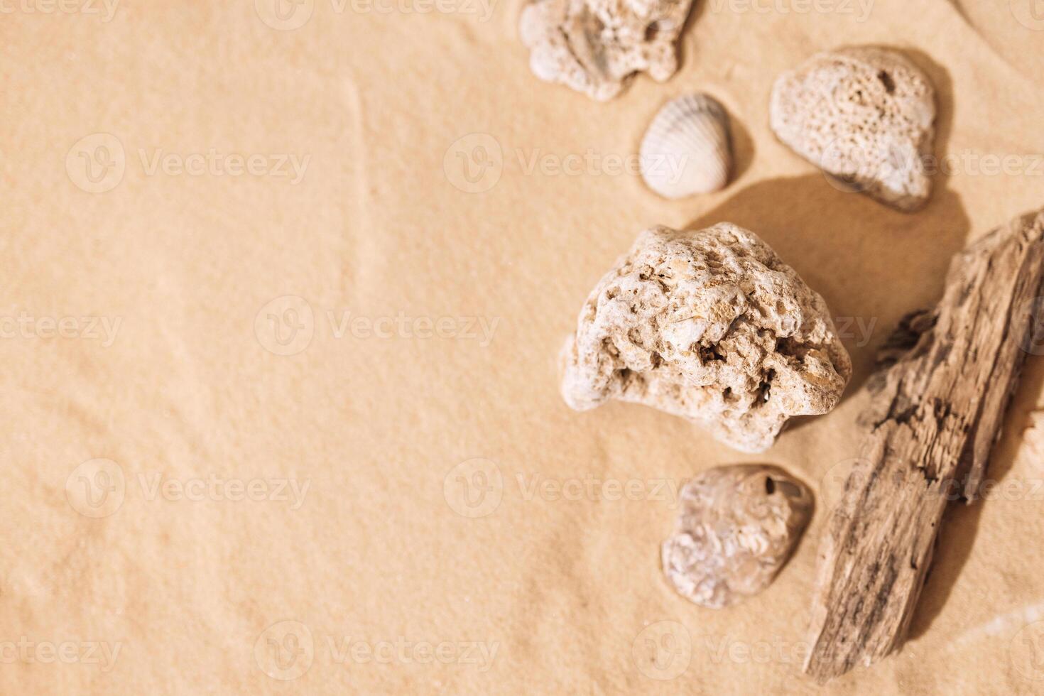 Sandy beautiful background with shells. Stones and bark of a tree on a backdrop of clean smooth sand. photo