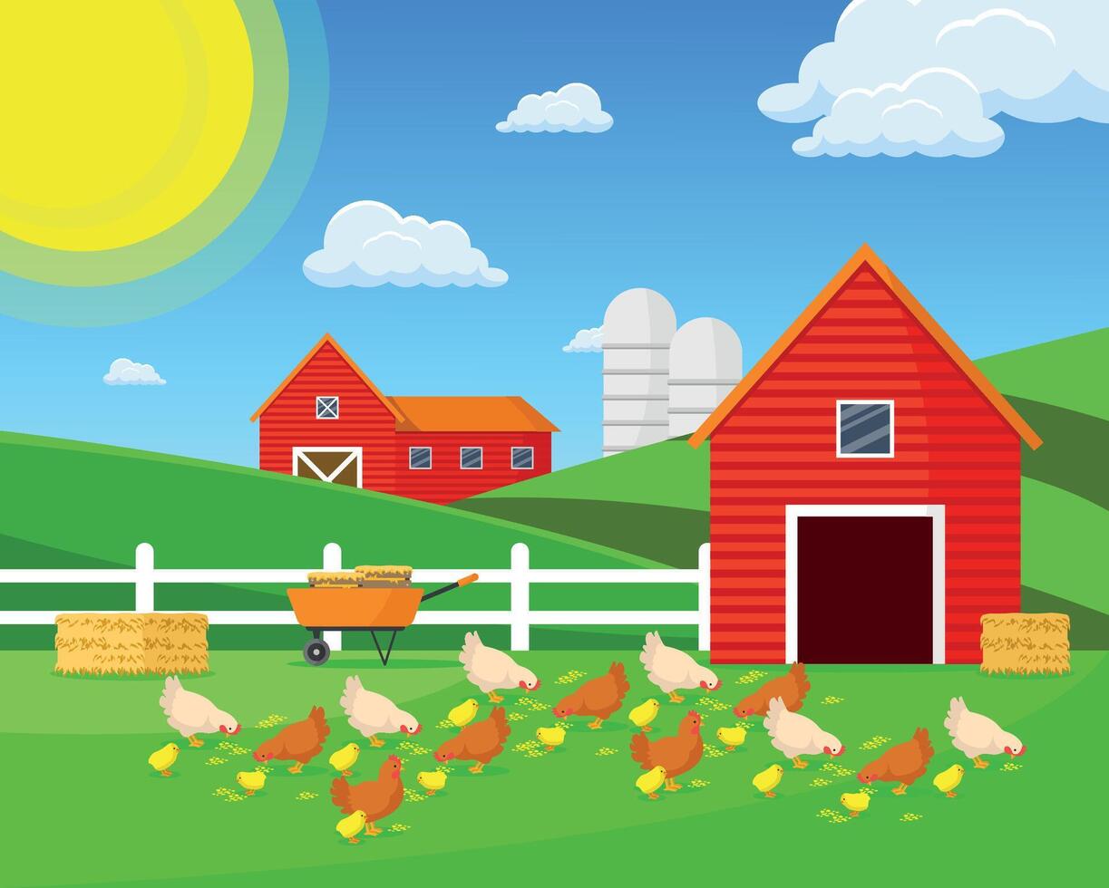 Farm horizontal background with barns and chickens. vector