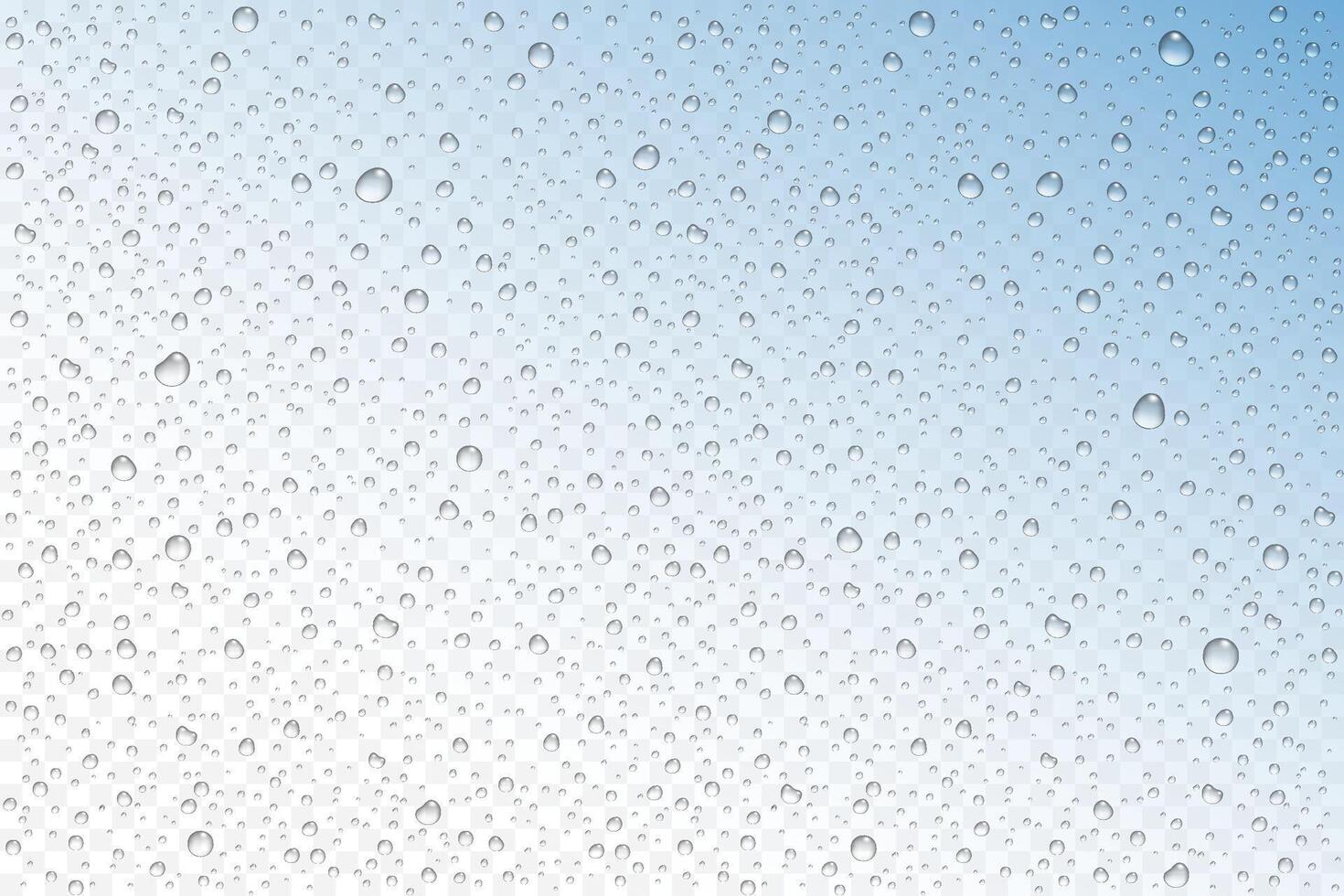 realistic water drops condensed vector