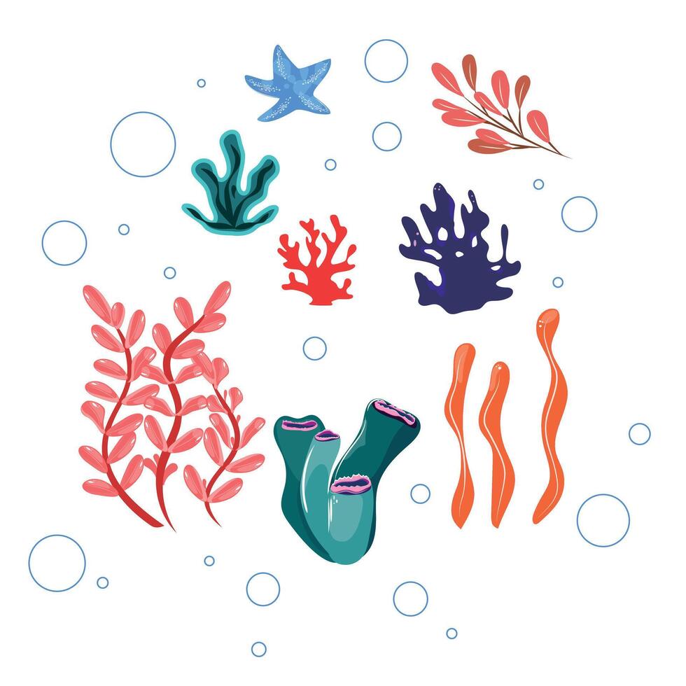 Colorful coral reefs and seagrass illustrations with bubbles, ideal for marine or oceanic visuals vector