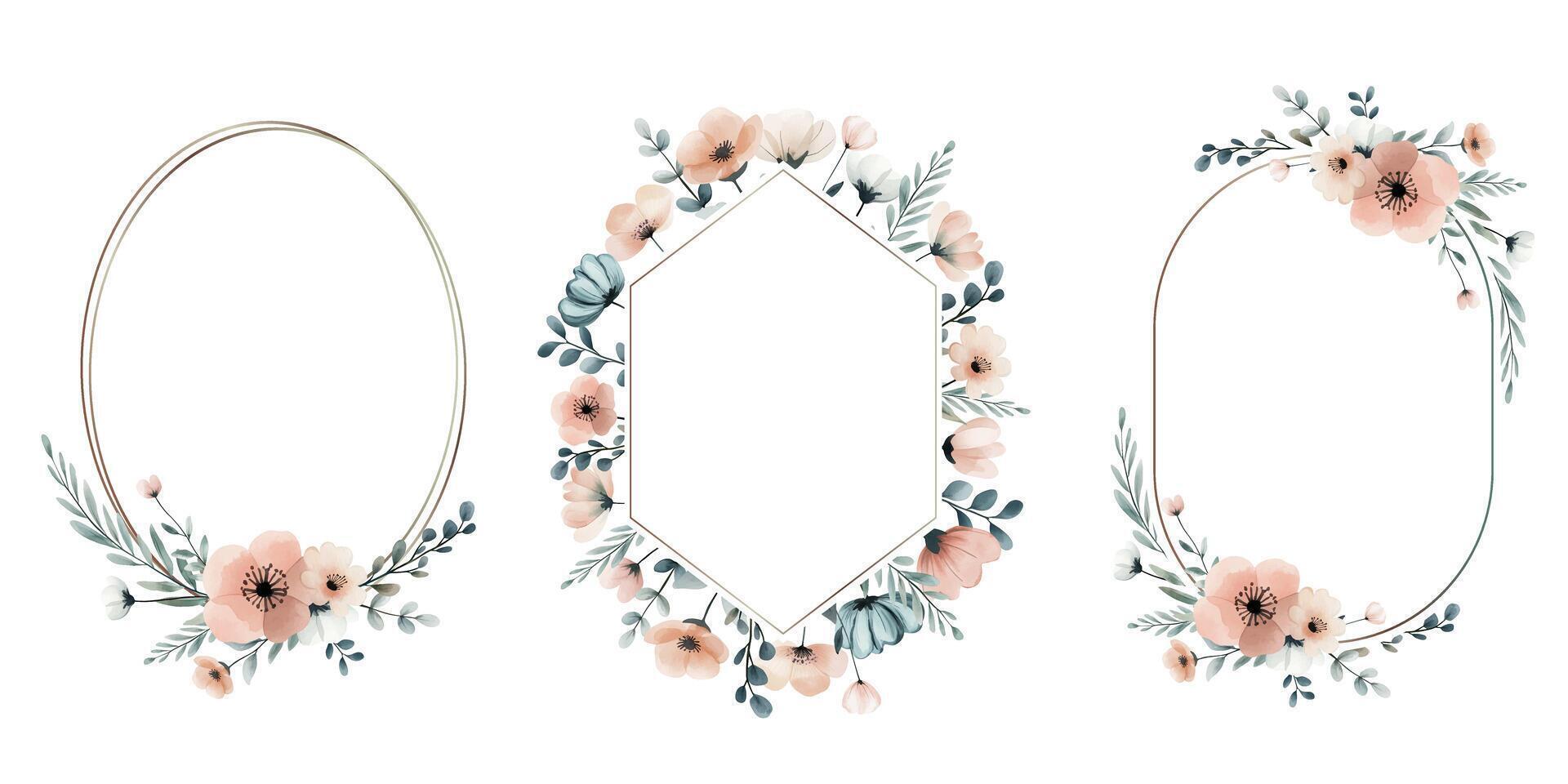 Watercolor botanical frames, foral templates. Set of botanical frames with meadow flowers in pastel colors. vector