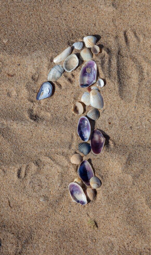 Number 1 laid out from seashells on the sand. Marine background. The symbol is one. Shells. Copy space. photo