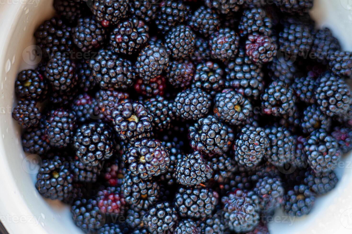 Blackberry. Black berries close-up. Food on a plate.. Black berries close-up. Food on a plate photo