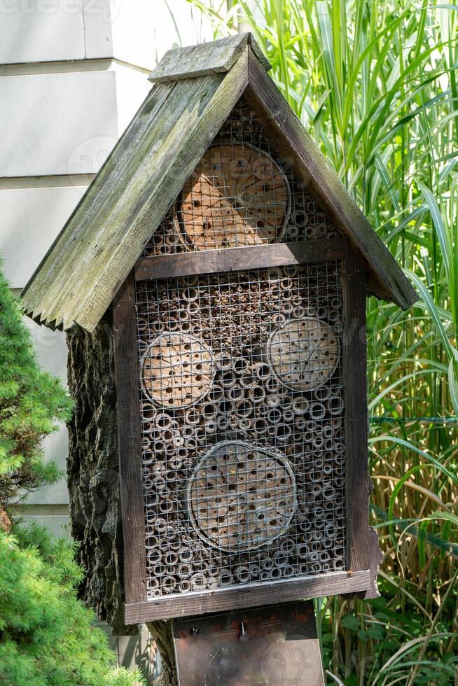 House for insects. A box made of bark, straw and stones. Bricks, cones and bamboo for the insect to settle there. Home for wild bees. Eco friendly do-it-yourself craft. Idea for a garden. DIY photo