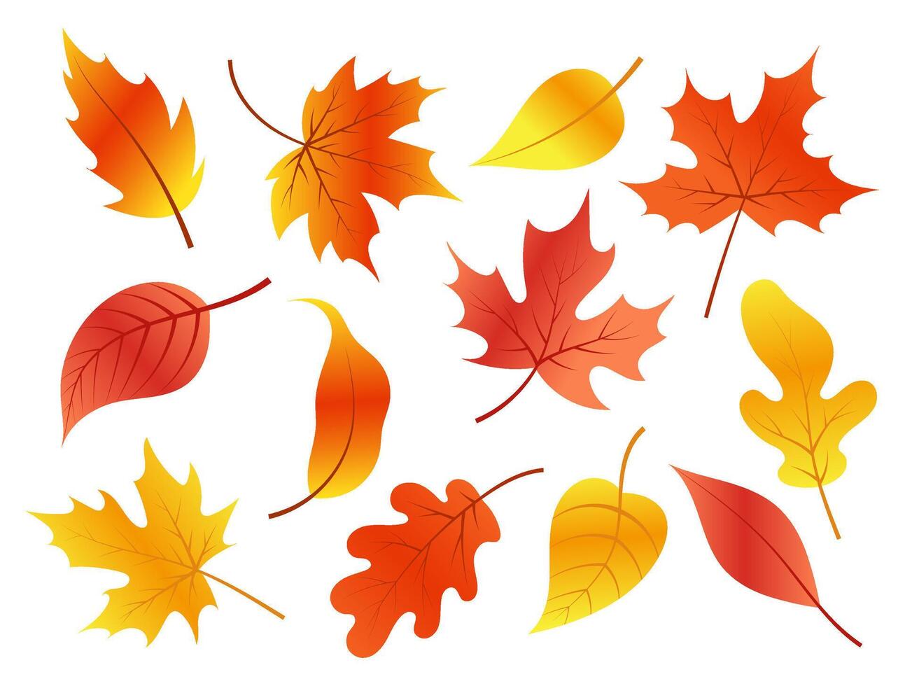 A set of autumn leaves. Autumn oak, maple. Leaves for backgrounds, decor, cards, banners. Illustration in flat style. vector