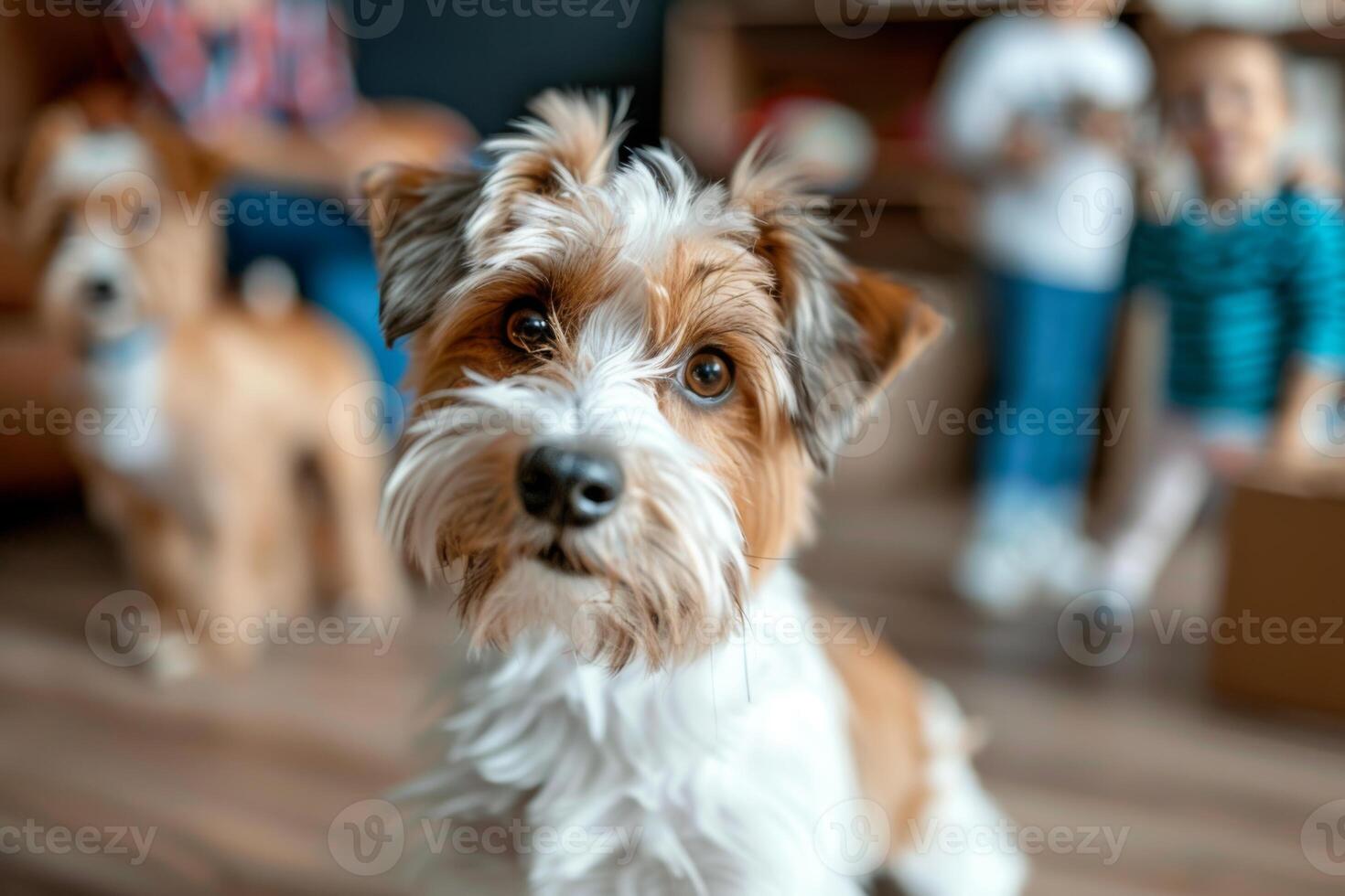 Happy family with dogs moving to new apartment pet puppy at home boxes package buy property relocation exploring house furniture help rent owner beautiful domestic dog donation charity photo