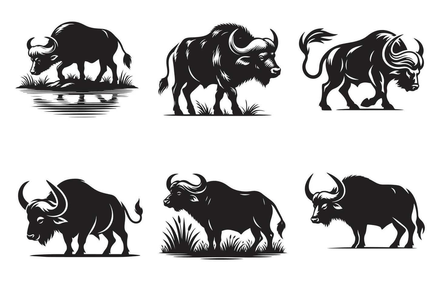 How to Identify Buffalo in the Wild vector