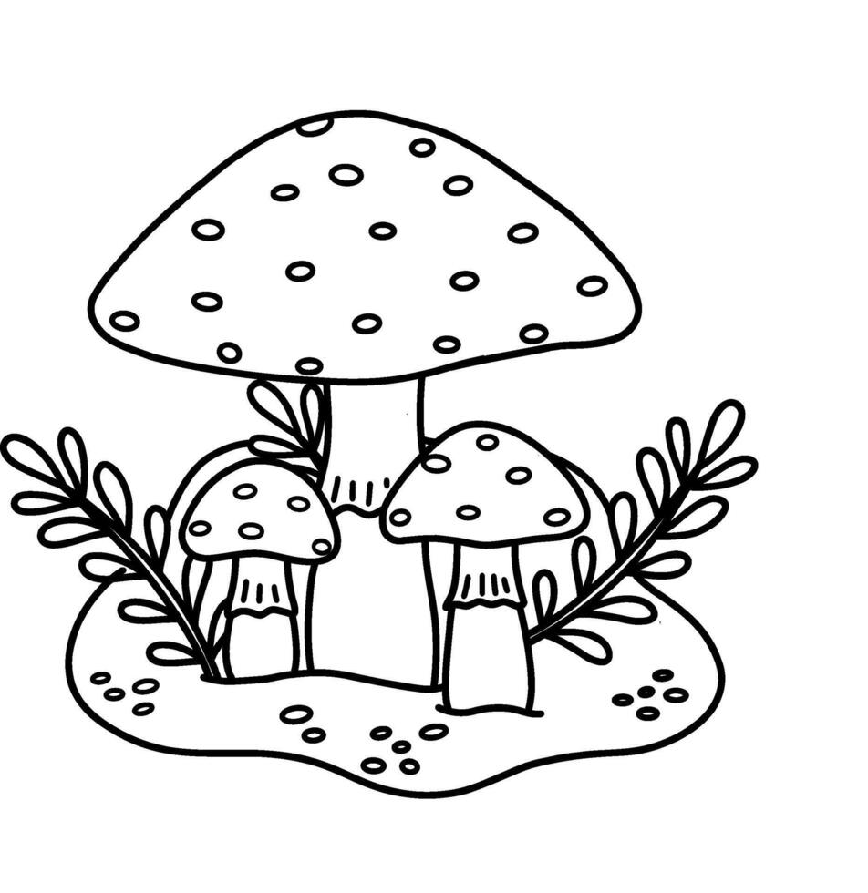 illustration of a mushroom highlighted on a transparent background for children coloring a worksheet, workbook, web design. Stock illustration of a fly agaric. vector